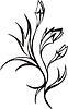 Vector clipart: floral art design