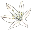 Vector clipart: flower