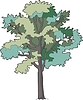 Vector clipart: ash-tree