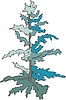 Vector clipart: cypress