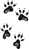 Vector clipart: dog tracks