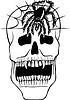 Векторный клипарт: череп вампира с пауком