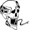 Vector clipart: skull tattoo