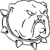 Vector clipart: bulldog with collar