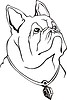 Vector clipart: pug