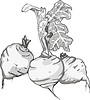 Vector clipart: rutabaga