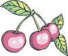 Vector clipart: cherry