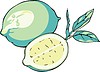 Vector clipart: limes