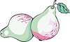 Vector clipart: pears