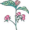 Vector clipart: stone bramble