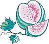 Vector clipart: watermelon