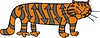 Tiger cartoon | Stock Vector Graphics