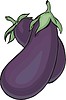 Vector clipart: aubergine