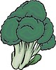 Vector clipart: broccoli