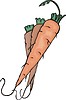 Векторный клипарт: морковь