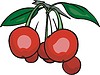 cherry