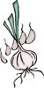 Vector clipart: garlic