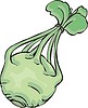 Vector clipart: kohlrabi