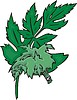 Vector clipart: parsley