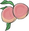 Vector clipart: peaches