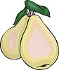 Vector clipart: pear