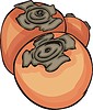 Vector clipart: persimmon