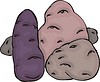 Vector clipart: potatoes