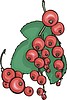 Vector clipart: red currants