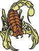 Vector clipart: scorpion tattoo