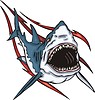 Vector clipart: shark