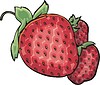 Vector clipart: strawberries