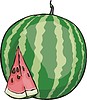 watermelon