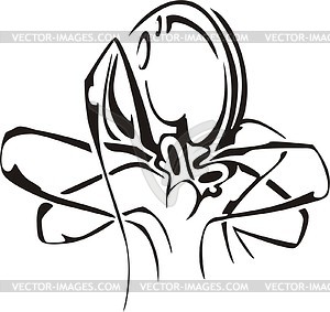 Spider tattoo - vector clipart