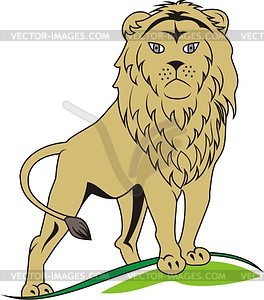 Lion - vector image