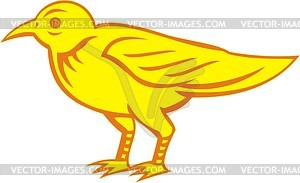 Bird - vector clip art