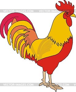 Cock - vector clipart