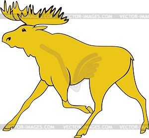 Moose - vector image