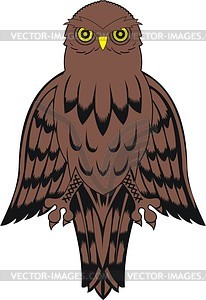 Owl - vector image