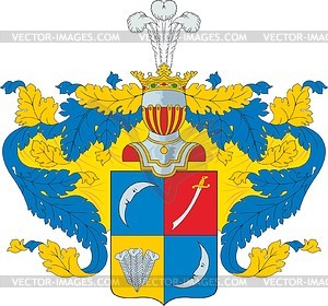 Borozdin, family coat of arms - vector clipart