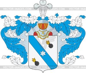 Kokushkin, family coat of arms - vector clipart