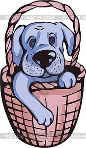 Funny dog in a basket - vector clipart