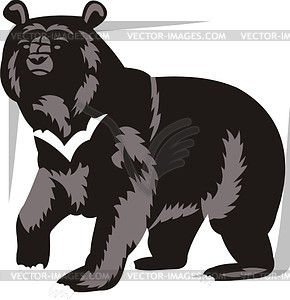 Bear - vector image