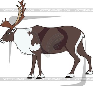 Deer - vector clipart