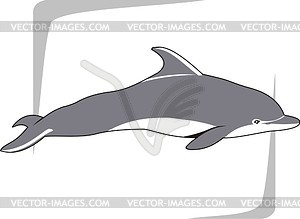 Dolphin - vector clipart