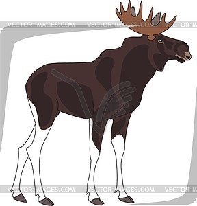 Moose - vector EPS clipart