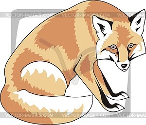 Fox - royalty-free vector image