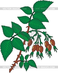 Leaves - vector clipart