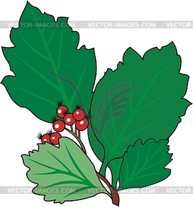 Leaves - vinyl EPS vector clipart