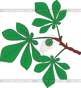 Chestnut - vector image