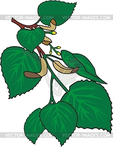 Leaves - vector clipart